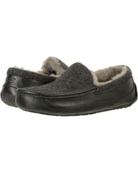 Ugg Ascot Shop Ugg Ascot Shop