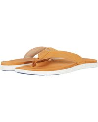 Peter Millar Shoes for Men | Black 