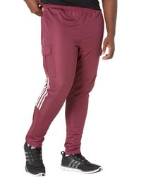 tiro winterized track pants