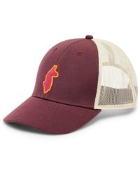 COTOPAXI - Llama Trucker Hat - Lyst