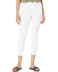 Hue Jeans for Women | Online Sale up to 