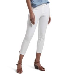 Hue Leggings for Women | Online Sale up 