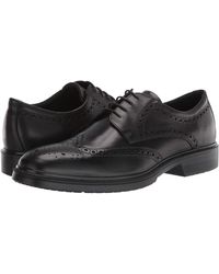ecco brogues