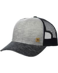 tentree festival hat