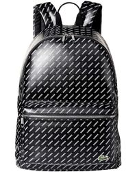 lacoste backpack sale