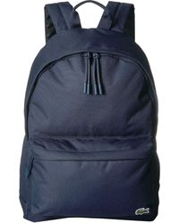 lacoste blue backpack