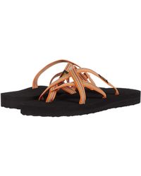 teva olowahu brown