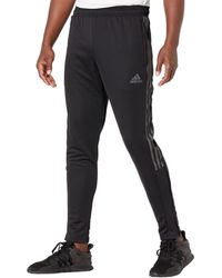 adidas Casual pants and pants for Men | Online Sale up to 67% off | Lyst