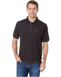 tommy bahama polo sale