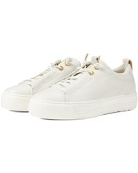 Paul Sneakers for | Online Sale up to 45% off |