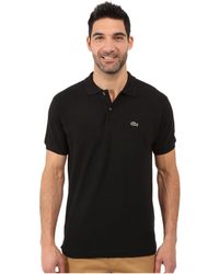 lacoste t shirt sale