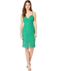 bardot sienna trumpet dress