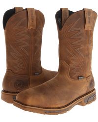83832 irish setter