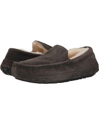 ugg ascot slipper grey