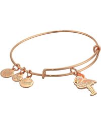 alex and ani flamingo
