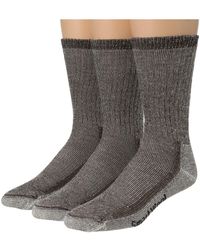 Smartwool Hike Medium Crew 3-pack - Brown