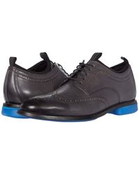 holland long wing oxford