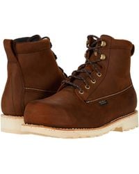 irish setter wingshooter 893