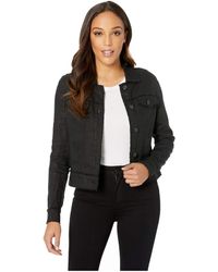 tommy bahama two palms linen jacket