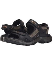 ecco shoes mens sandals