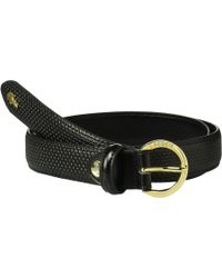 Lacoste Belts for Women - Up to 40% off 