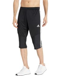 sweatpant shorts adidas