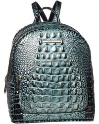 brahmin bookbag