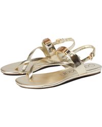 calvin klein women's sadra ankle strap flat sandals