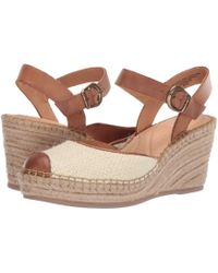 born guadalupe wedge