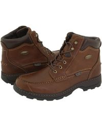 irish setter vaprtrek 800g