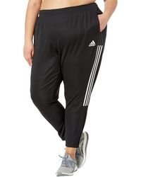favorites winterized track pants