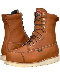83832 irish setter