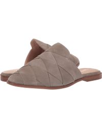 seychelles mules