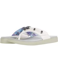 alegria flip flops