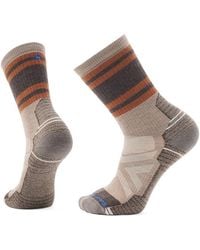 Smartwool - Hike Full Cushion Lolo Trail Crew Socks No Show Socks Shoes Xl Shoe 12-14.5) Wool/Nylon - Lyst