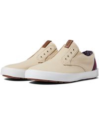 ben sherman pete laceless