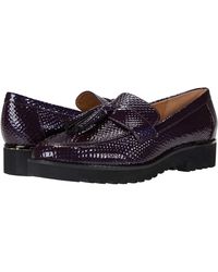 franco sarto carney