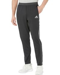 own the run astro joggers
