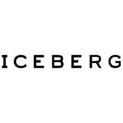Iceberg logo