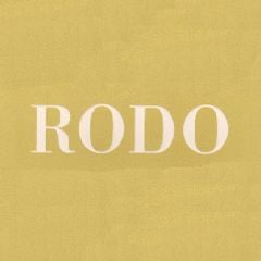 Rodo logo