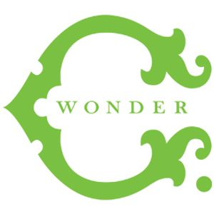 C. Wonder logotype