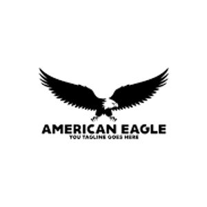 American Eagle logotype