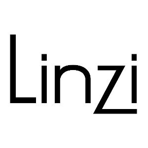 Linzi logotype