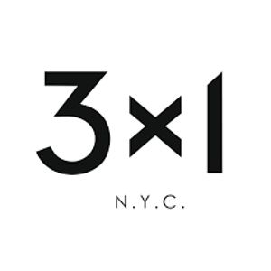 3x1 logotype