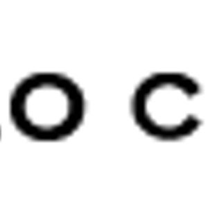 POLO CLUB Logo