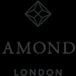 The Diamond Store-logo