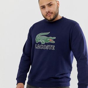 Lacoste Sweater Met Groot Logo En Ronde Hals In Marineblauw voor heren