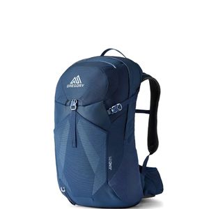 Gregory Blue Patterned Backpack