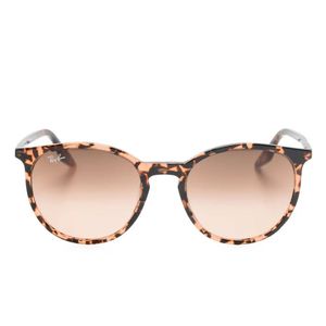 Ray-Ban Pink Rb2204 Sunglasses