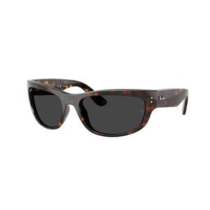 Ray-Ban Black Mega Balorama Rb2289 902/48
